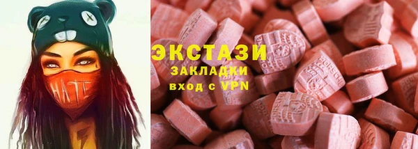 прущие грибы Вязьма