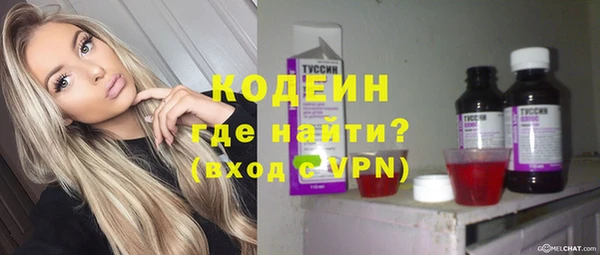 прущие грибы Вязьма