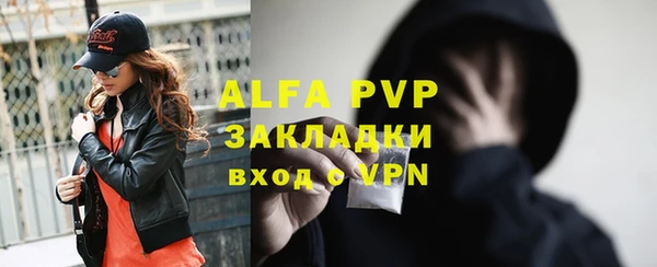 прущие грибы Вязьма