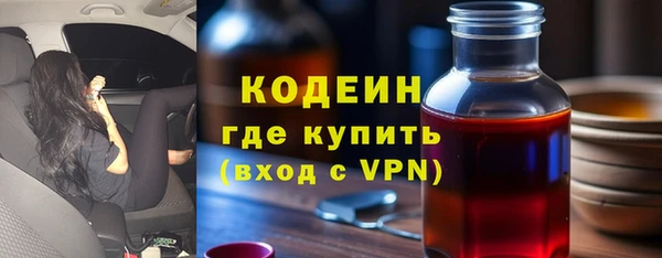 прущие грибы Вязьма