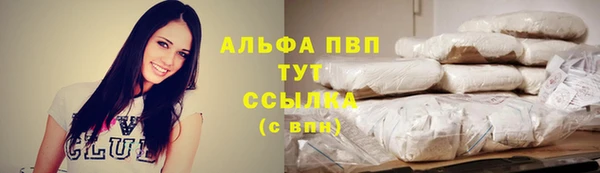 прущие грибы Вязьма
