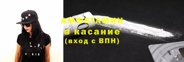 прущие грибы Вязьма