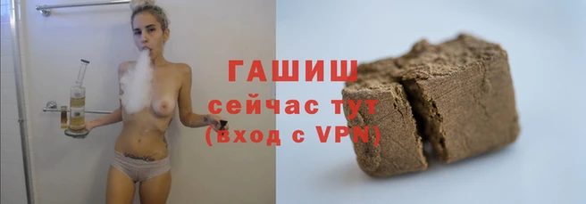 прущие грибы Вязьма