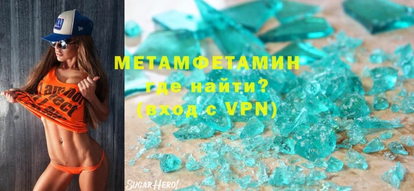 прущие грибы Вязьма