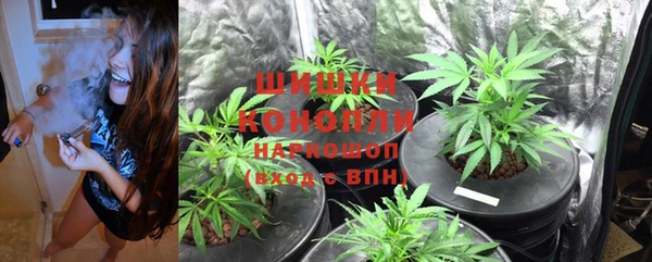 Альфа ПВП Вяземский
