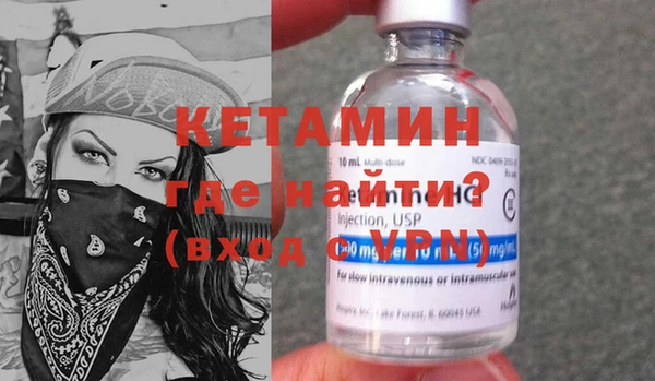 прущие грибы Вязьма