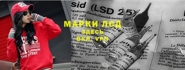 прущие грибы Вязьма