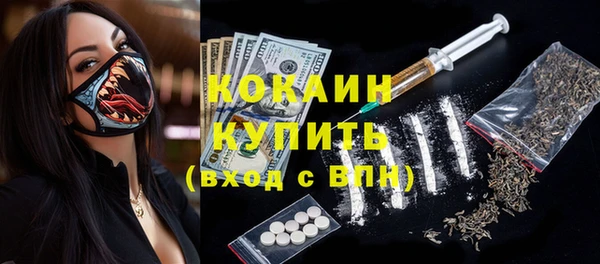 прущие грибы Вязьма