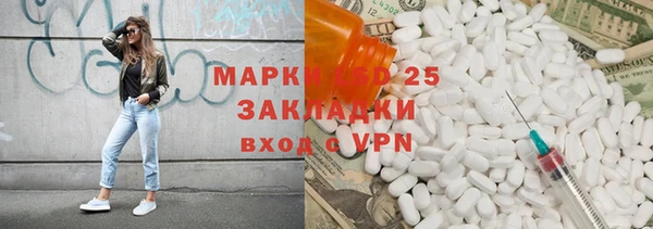 прущие грибы Вязьма