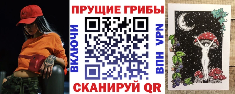 Псилоцибиновые грибы Psilocybe  Купить где  Анапа 